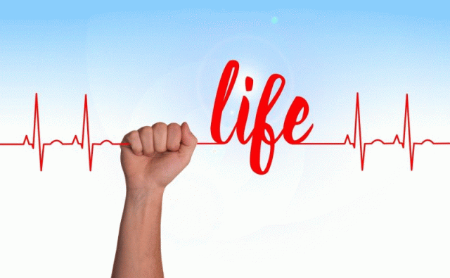 Biorhythmic_Healing_Session Biorhythmic_Healing_Session